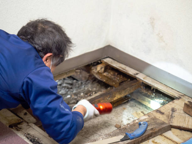 Best Water Damage Restoration  in Pittsburg, CA
