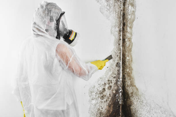 Water Damage Restoration in Pittsburg, CA