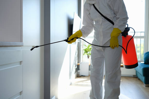 Best Mold Testing  in Pittsburg, CA