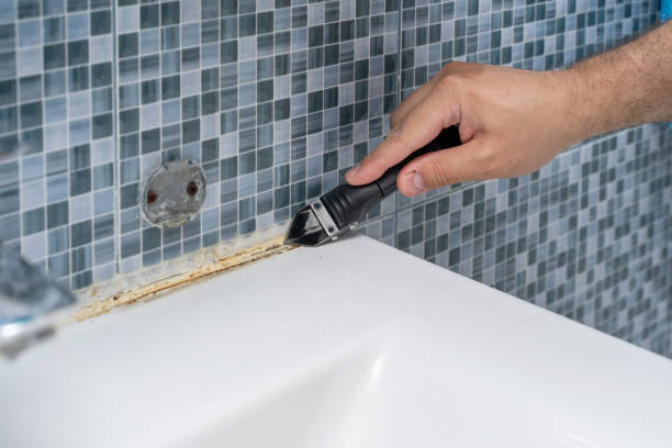 Best Mold Removal Company Near Me  in Pittsburg, CA